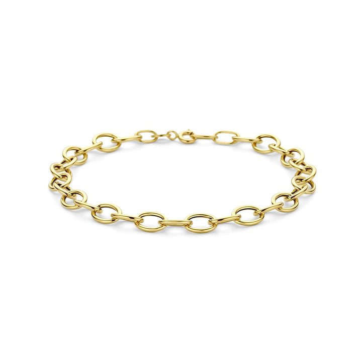 14k Geelgouden Schakel Armband Anker