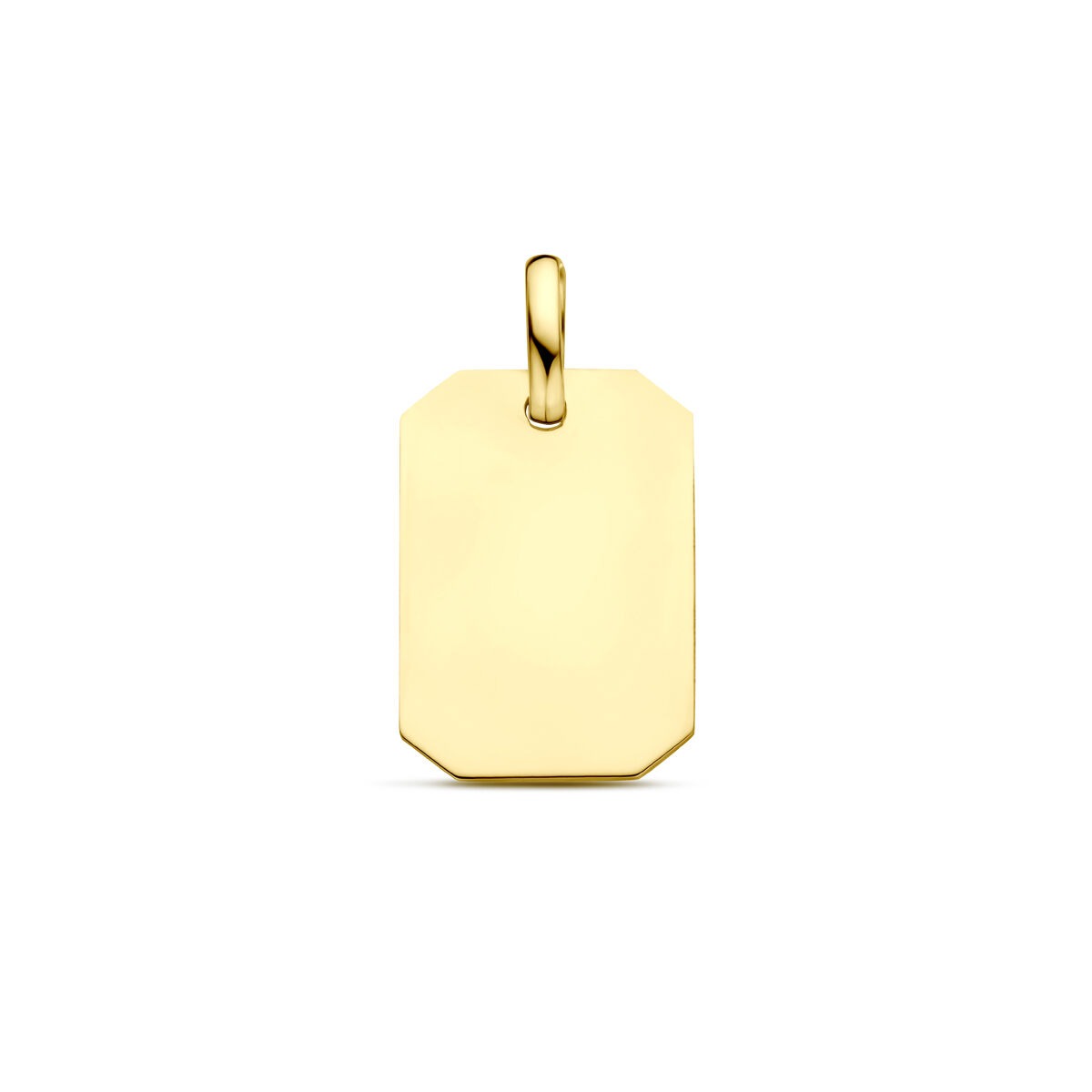 Geelgouden graveerhanger van 9 karaat, rechthoekig met een afmeting van 20 mm.