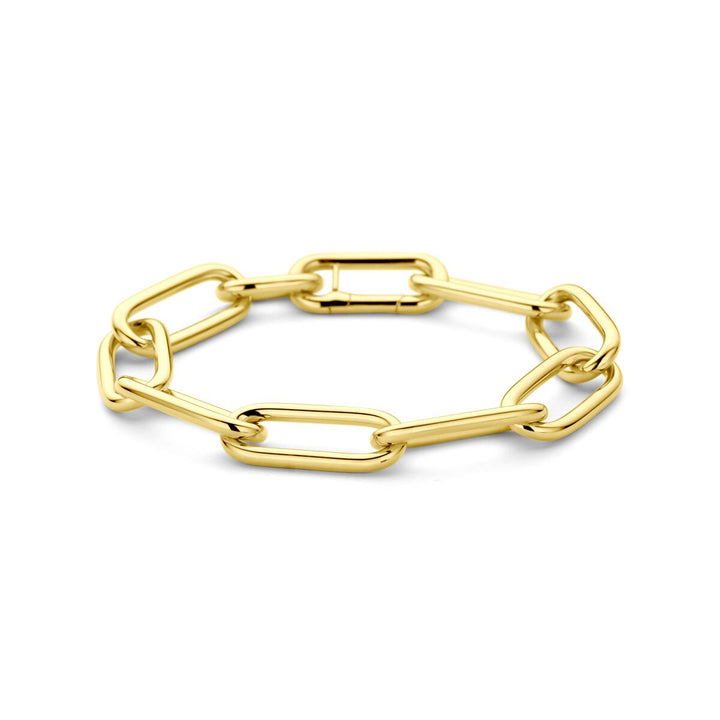14k Geelgouden anker schakel armband dames