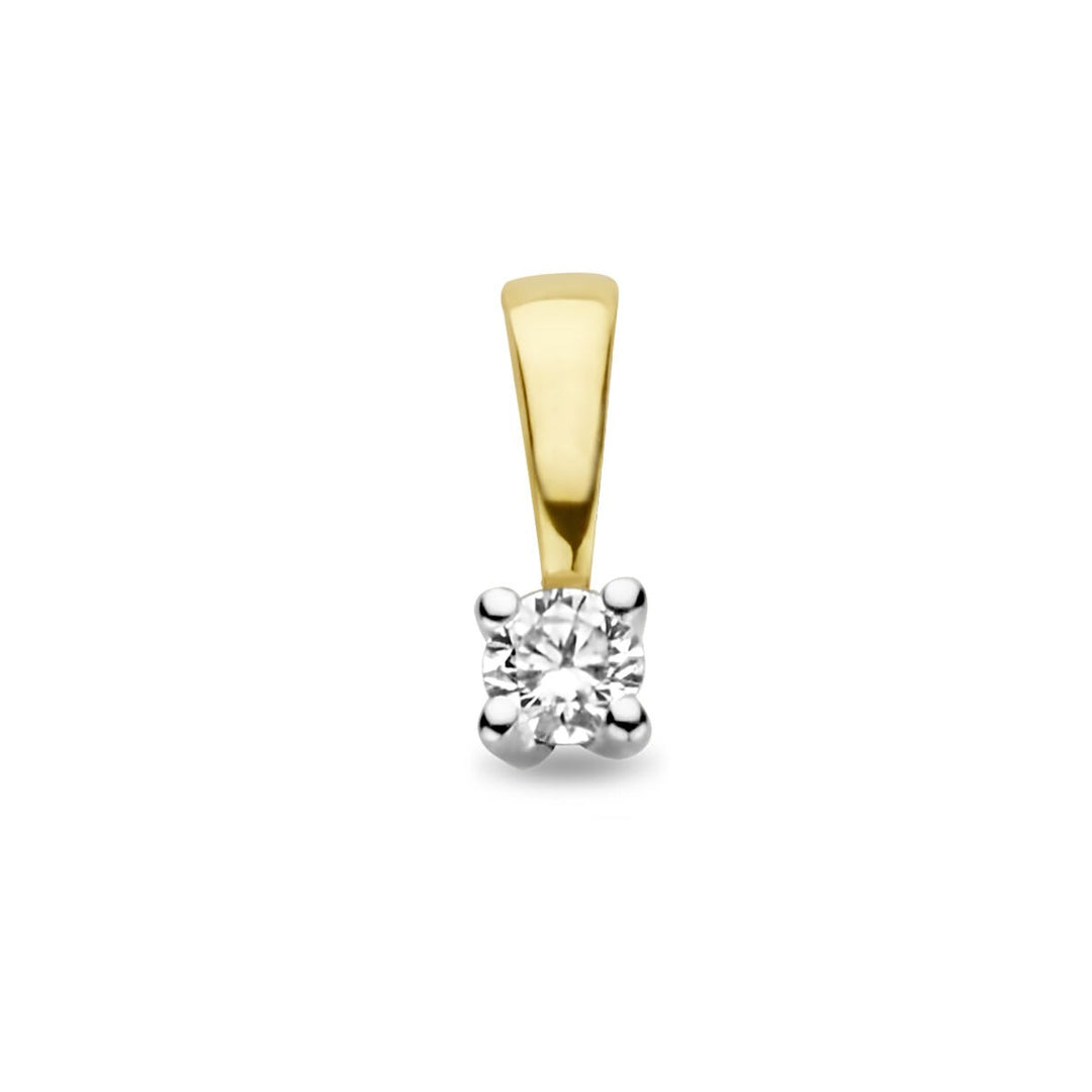 14k bicolor gouden hanger met diamant