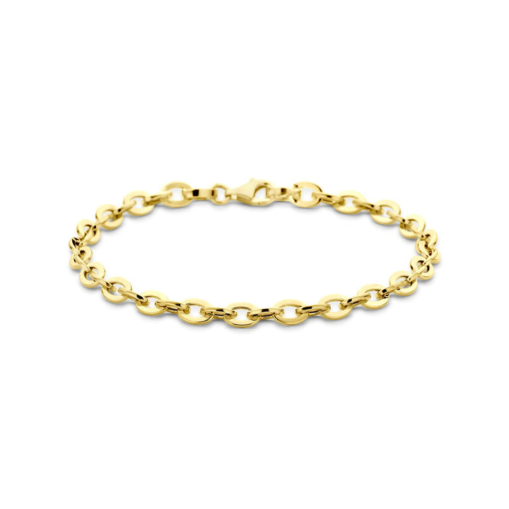 14k Geelgouden anker schakelarmband dames 4,7 mm 19 cm