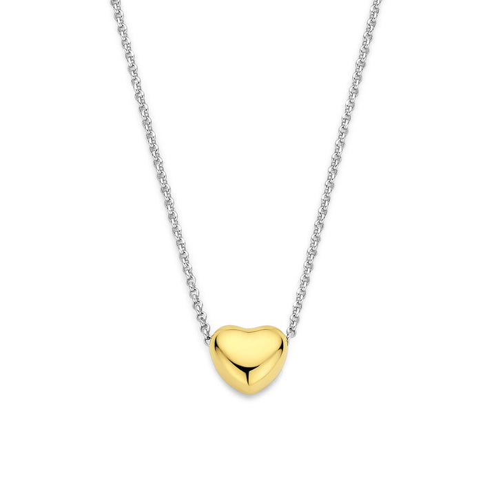 Gerhodineerd zilveren collier met verguld hartje