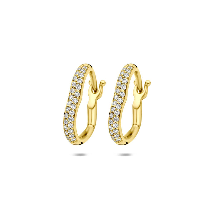 14k Gouden oorringen hart met diamant