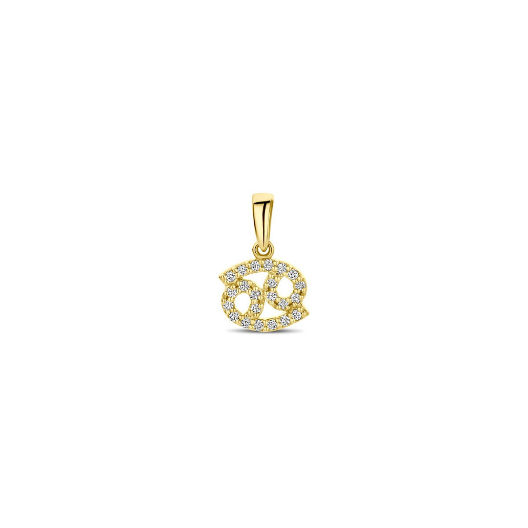 14k geelgouden sterrenbeeld hanger met diamant