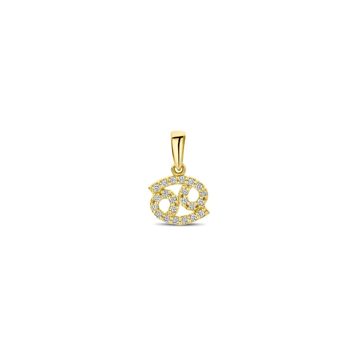 14k geelgouden sterrenbeeld hanger met diamant