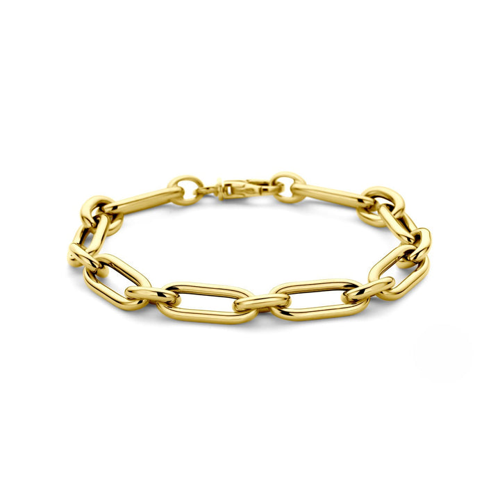 14k Geelgouden anker schakel armband dames