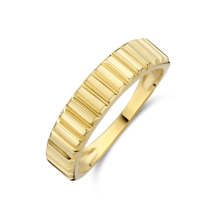 14k Geelgouden Dames Ring