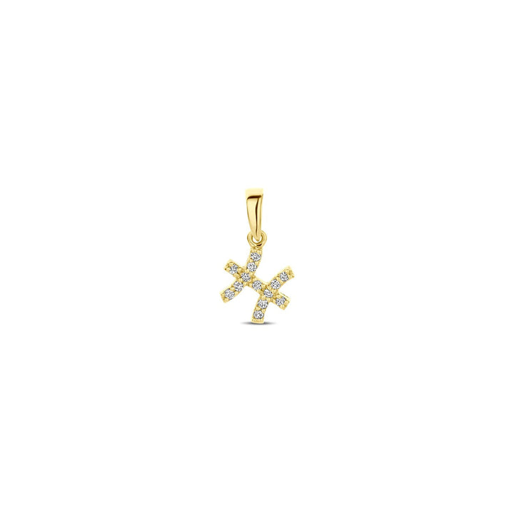 14k geelgouden sterrenbeeld hanger met diamant