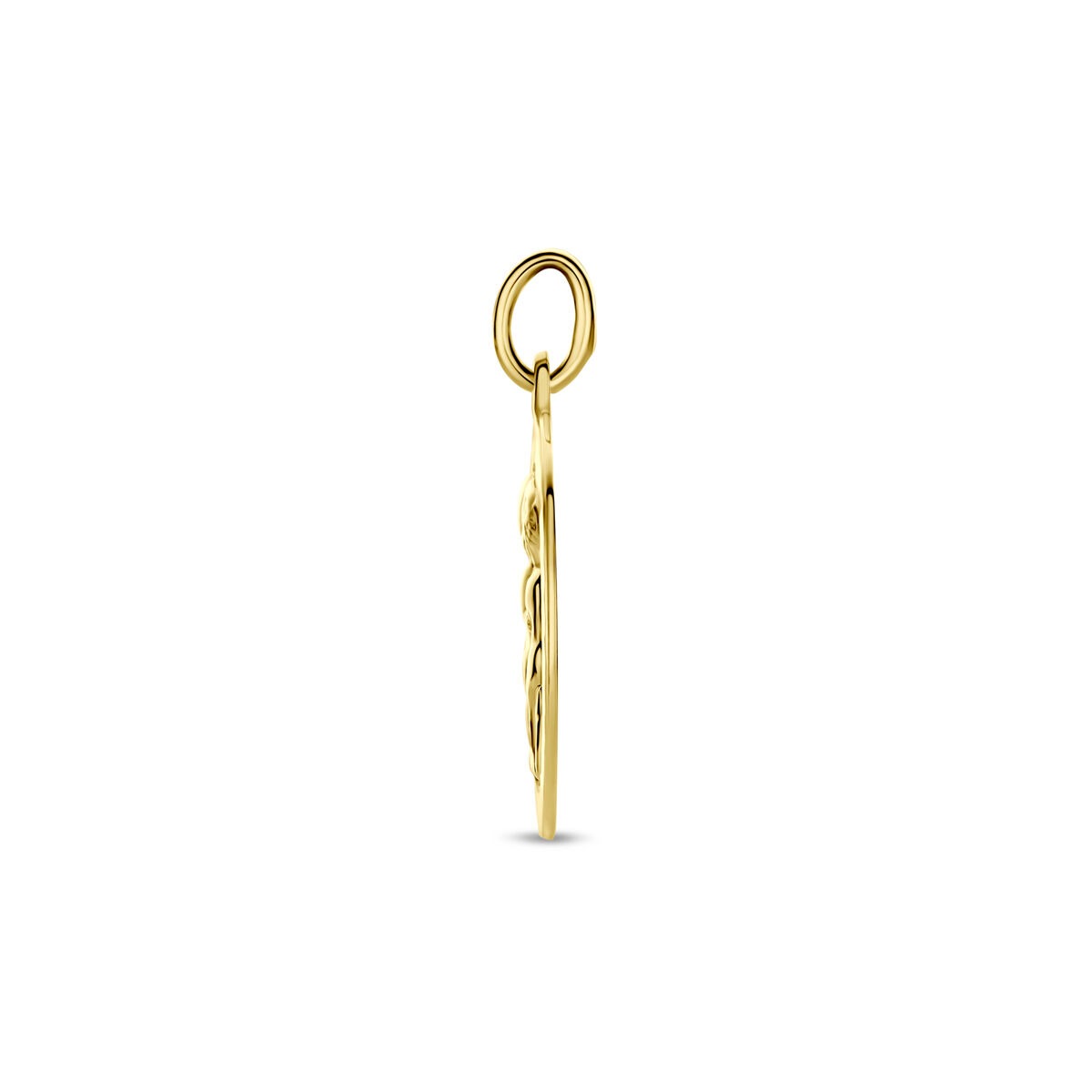 9k Geelgouden sterrenbeeld hanger