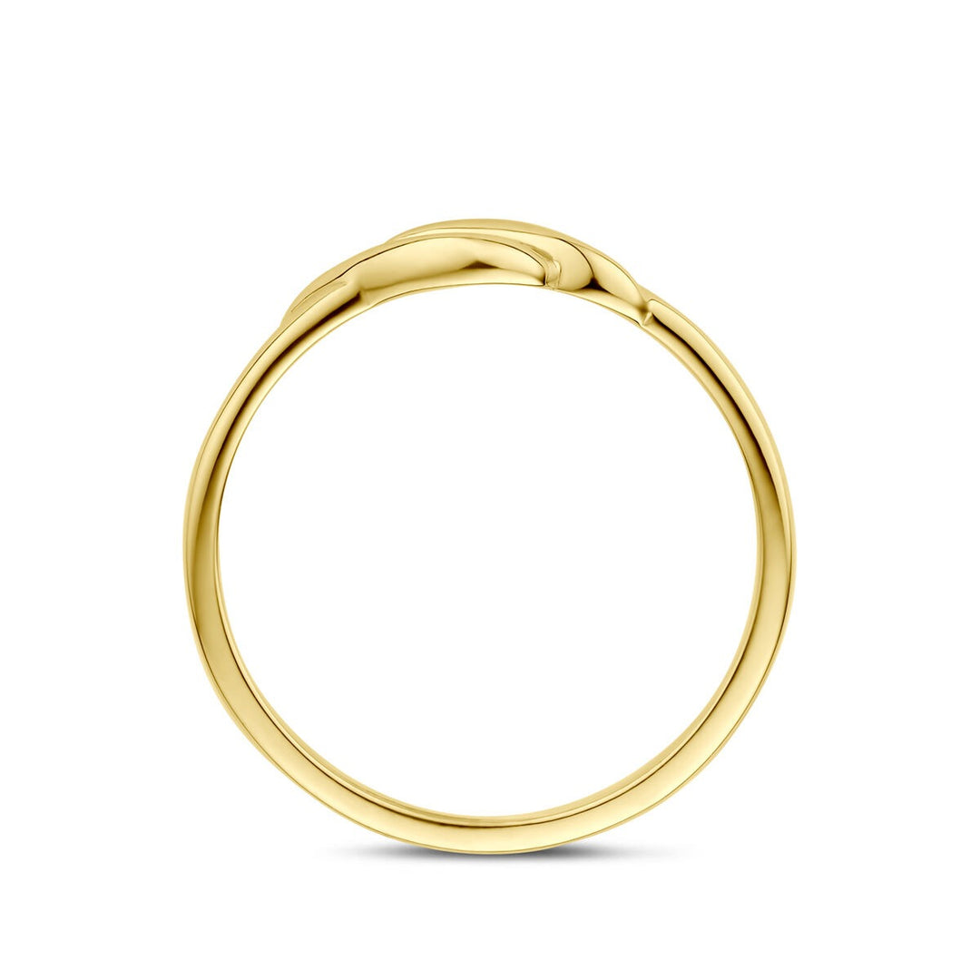 9k Geelgouden ring met zirkonia entourage