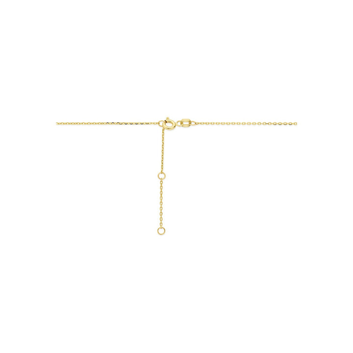 14k Geelgouden collier met druppelvormige hanger – anker schakel