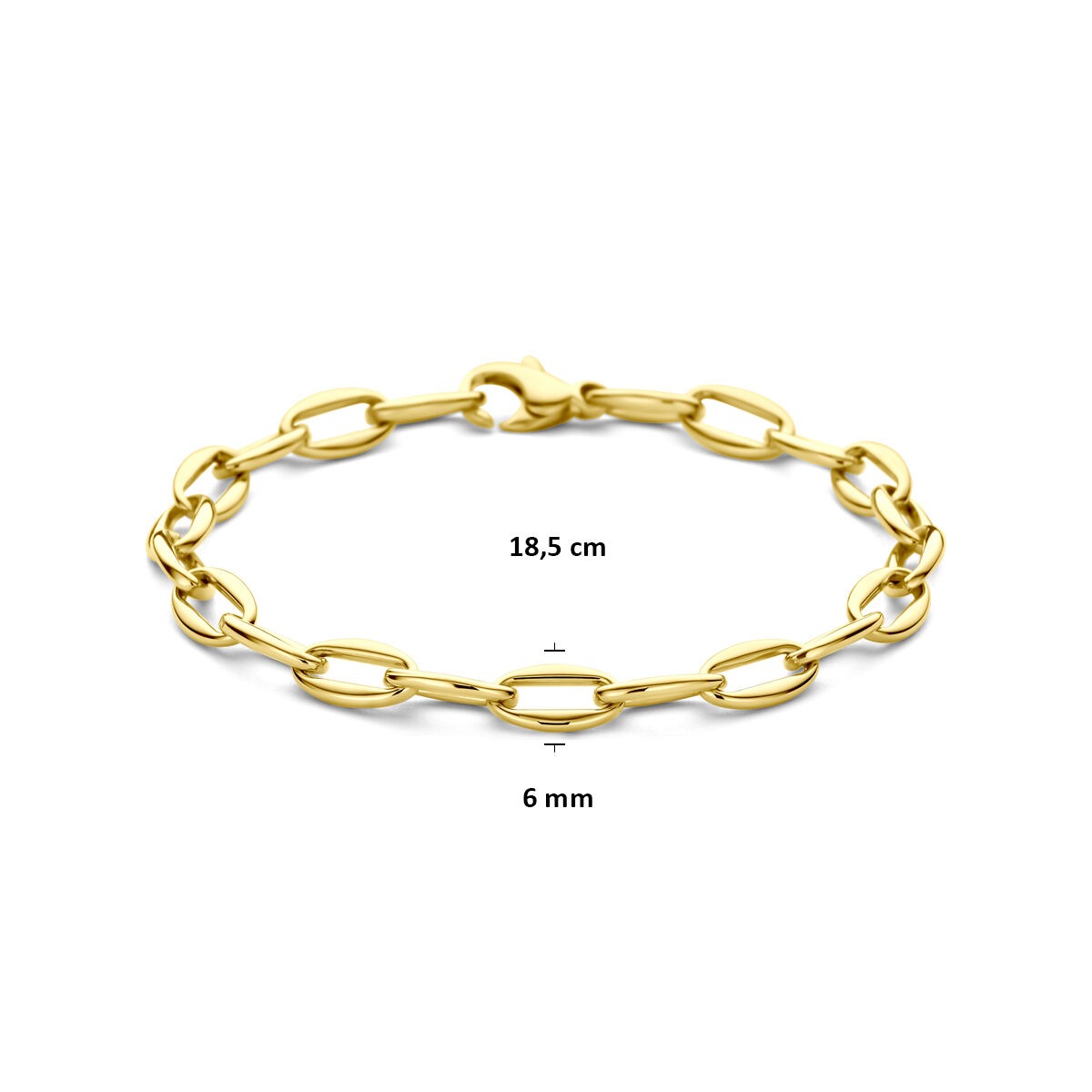 14k Geelgouden anker schakel armband dames
