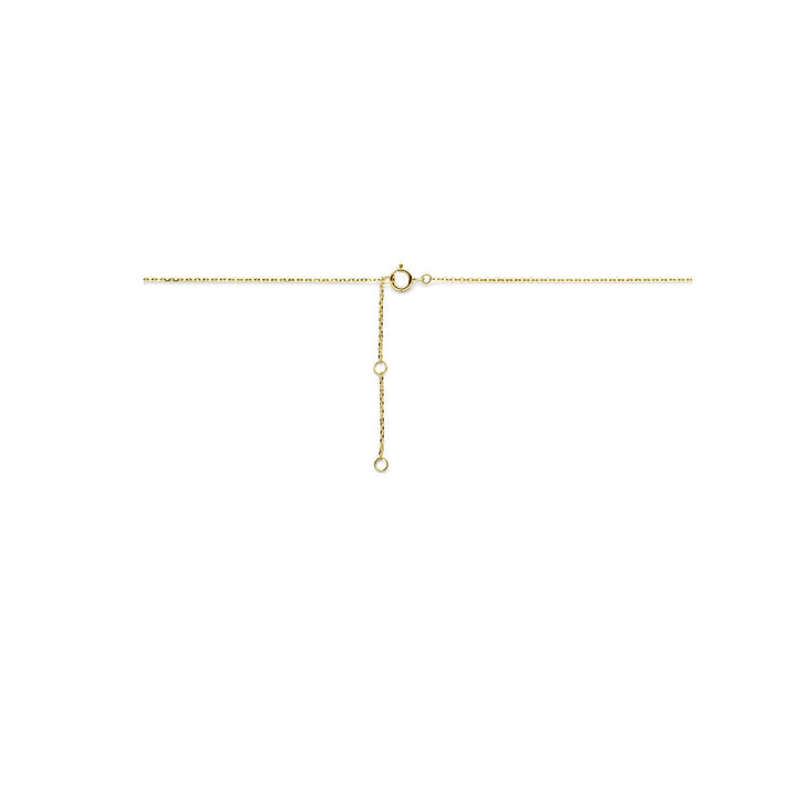 9k Geelgouden collier met hartje