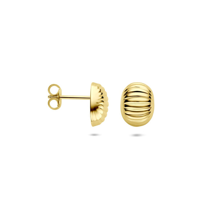 14k Geelgouden dames oorknoppen 10 mm