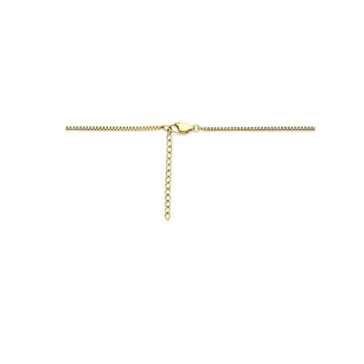Stalen dames ketting met geelgouden ion plating