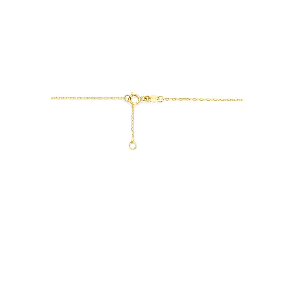 14k geelgouden ketting met maan hanger