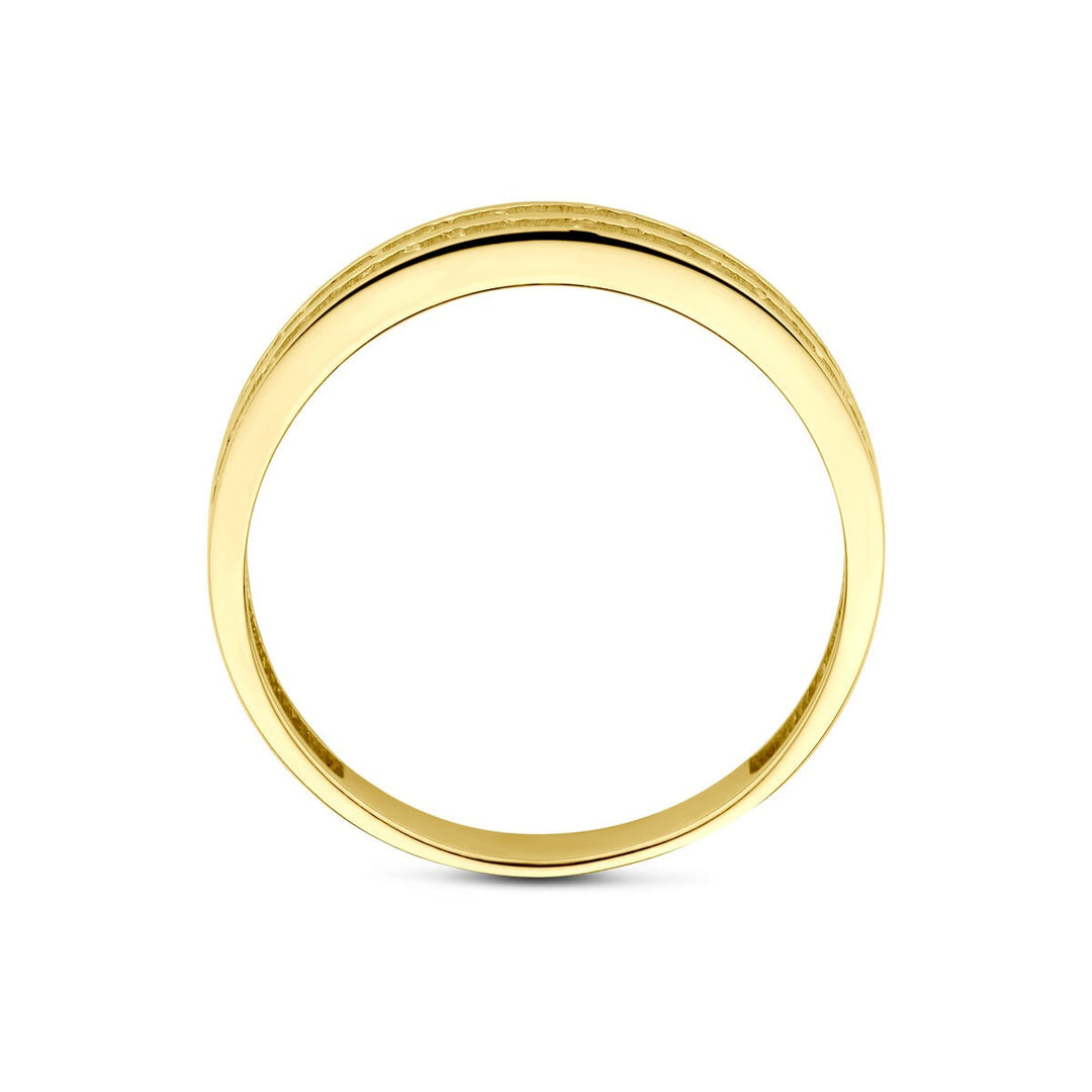 14k Geelgouden ring met zirkonia – alliance rijzetting, 3.5 mm breed