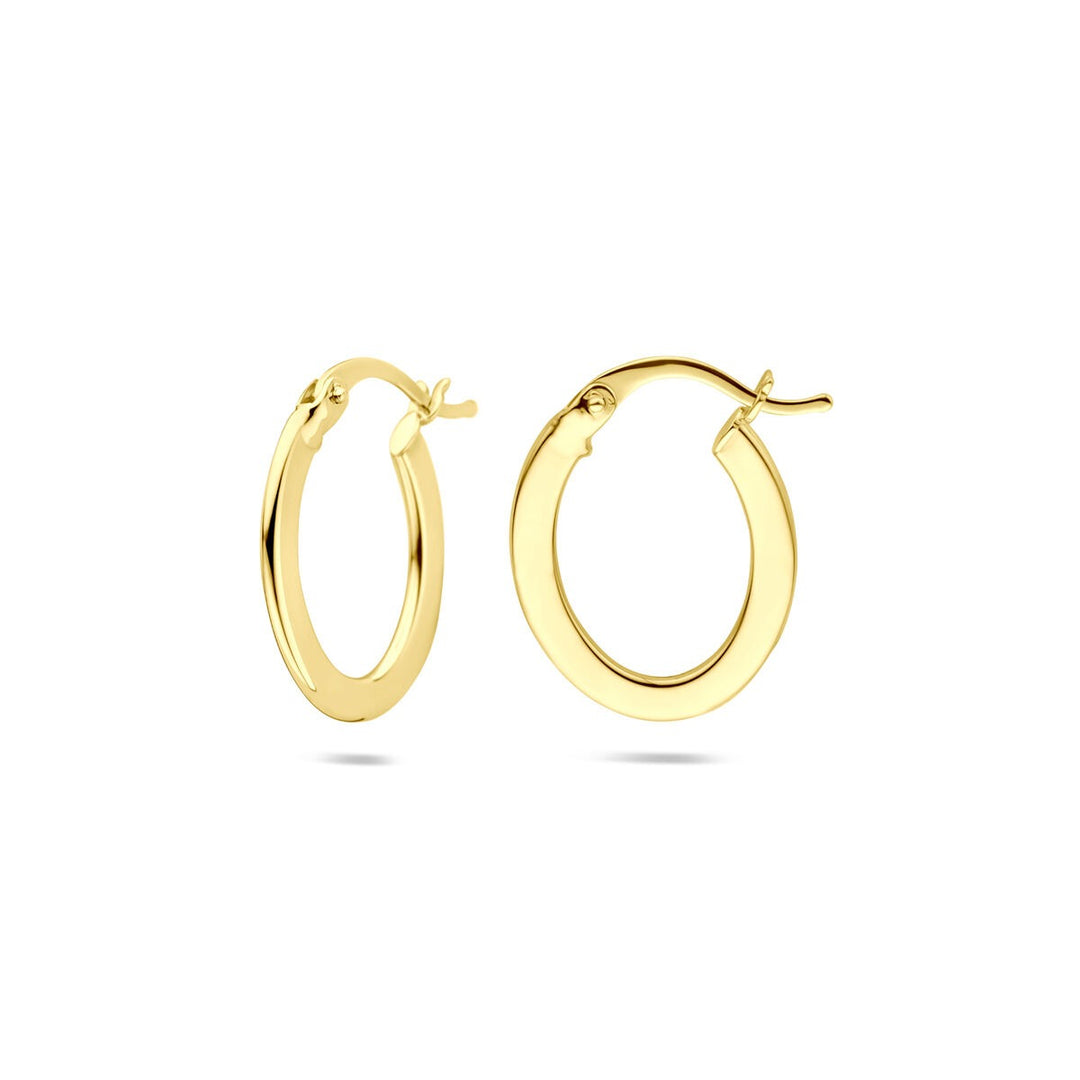 14k Geelgouden Oorringen