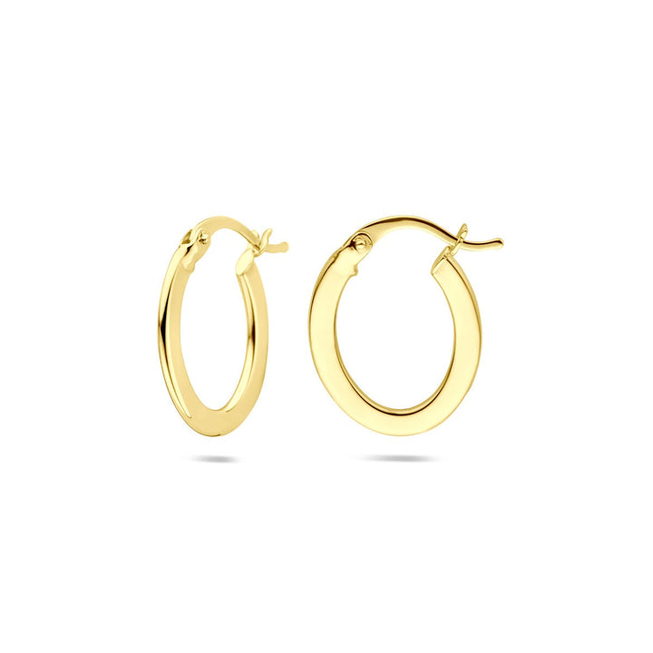 14k Geelgouden Oorringen