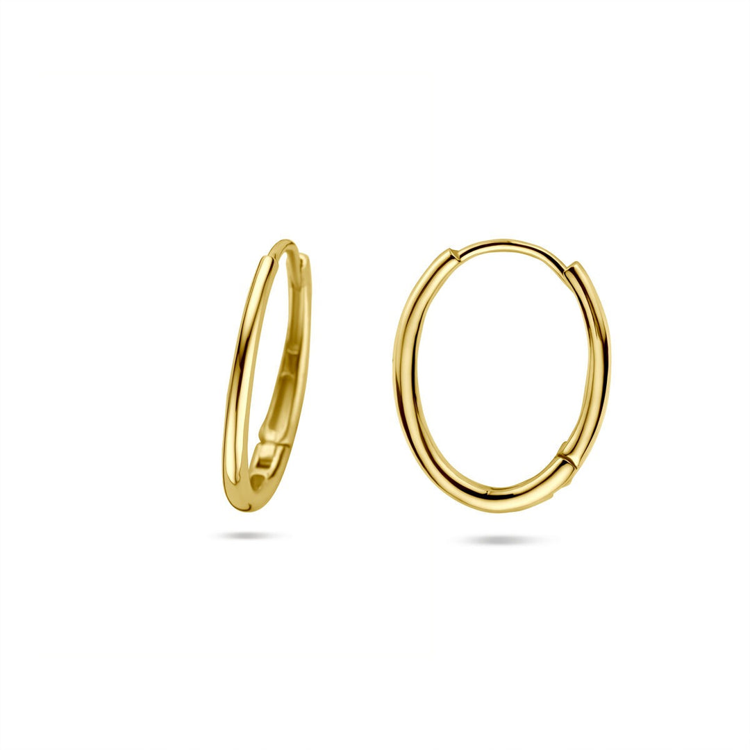 14k Geelgouden dames oorringen met scharniersluiting