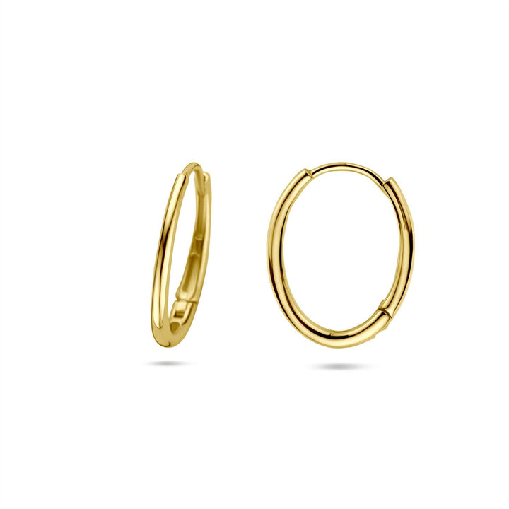 14k Geelgouden dames oorringen met scharniersluiting