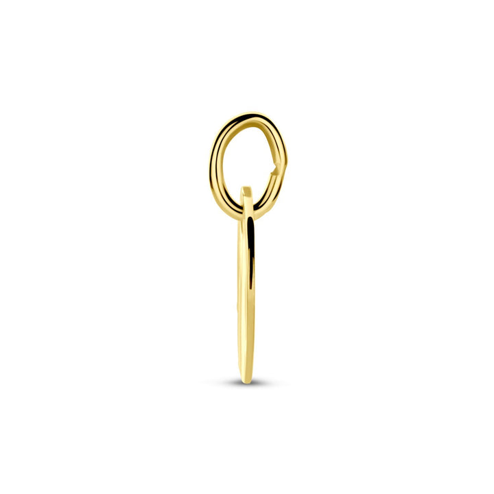 14k Geelgouden ronde graveerhanger dames