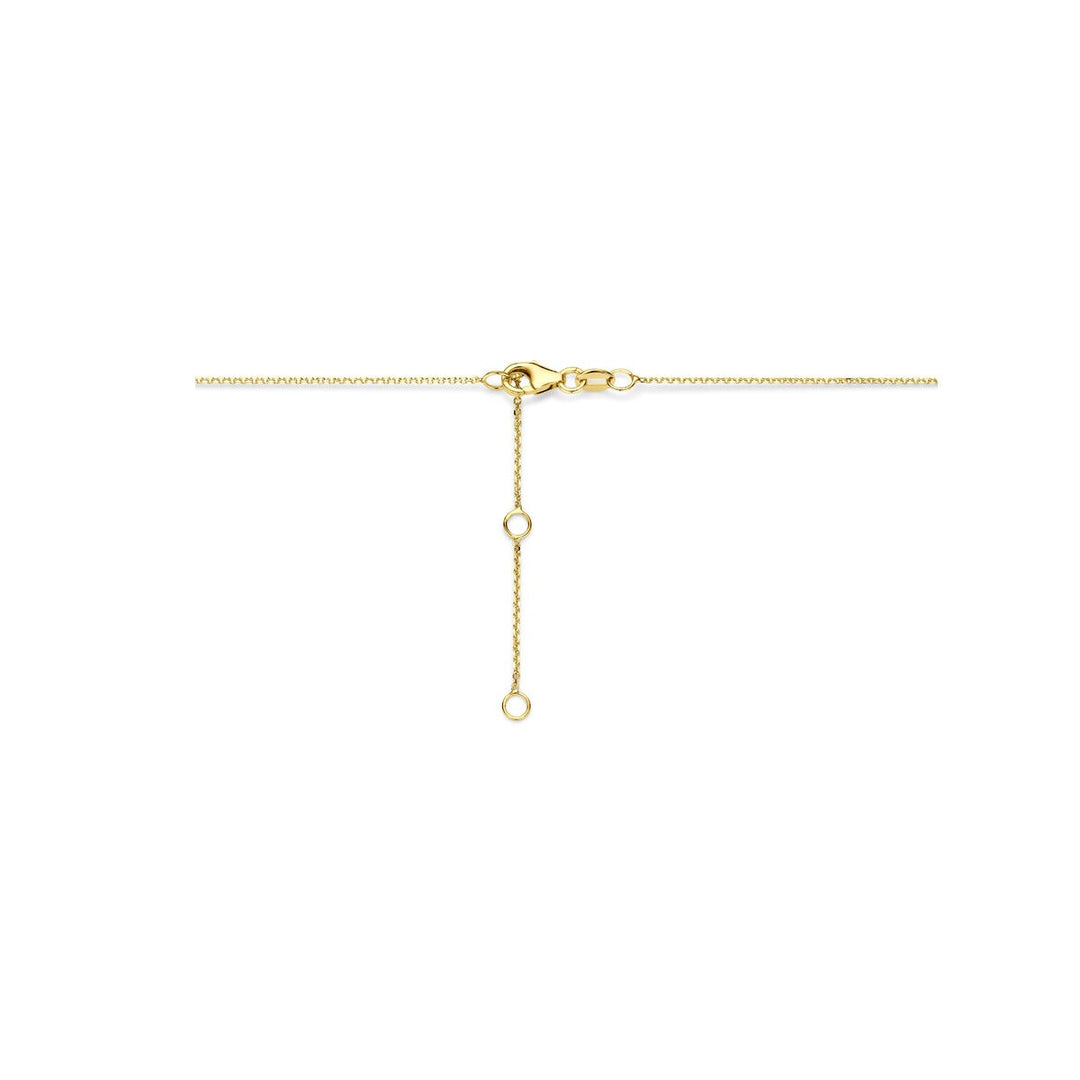 14k Geelgouden ketting met hartje