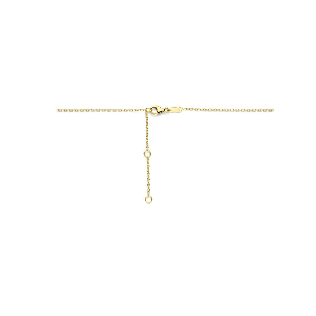14k geelgouden ketting met hartjes