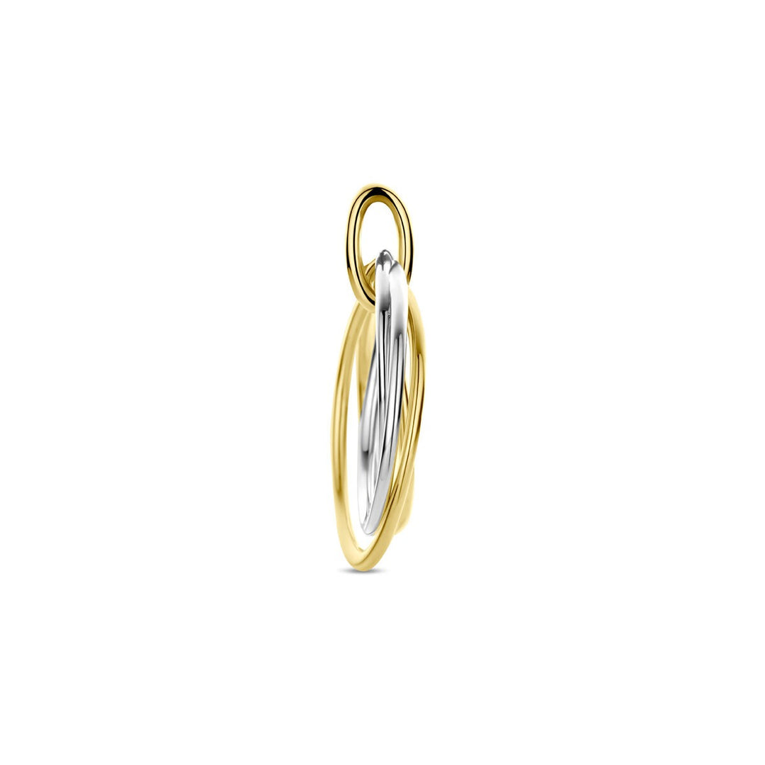 14k Bicolor hanger van geel- en witgoud – dames 21 mm