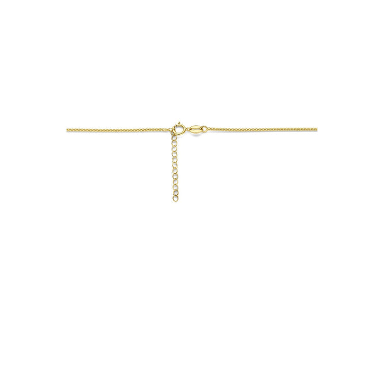 14k Geelgouden collier