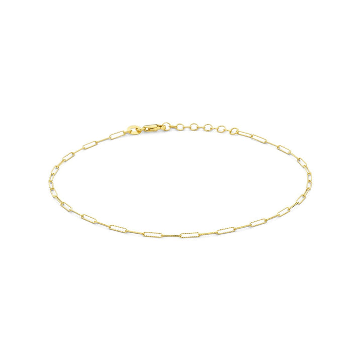 14k geelgouden enkelbandje – anker schakel