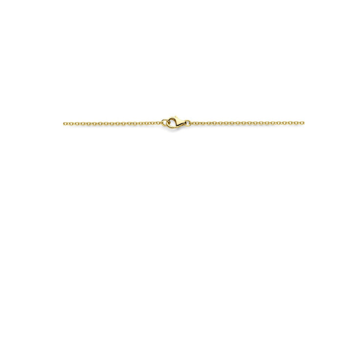 14k geelgouden dames collier met ovale schakels