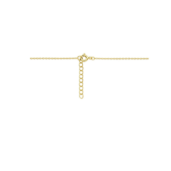 Verguld zilveren collier met hartvormig parelmoer medaillon