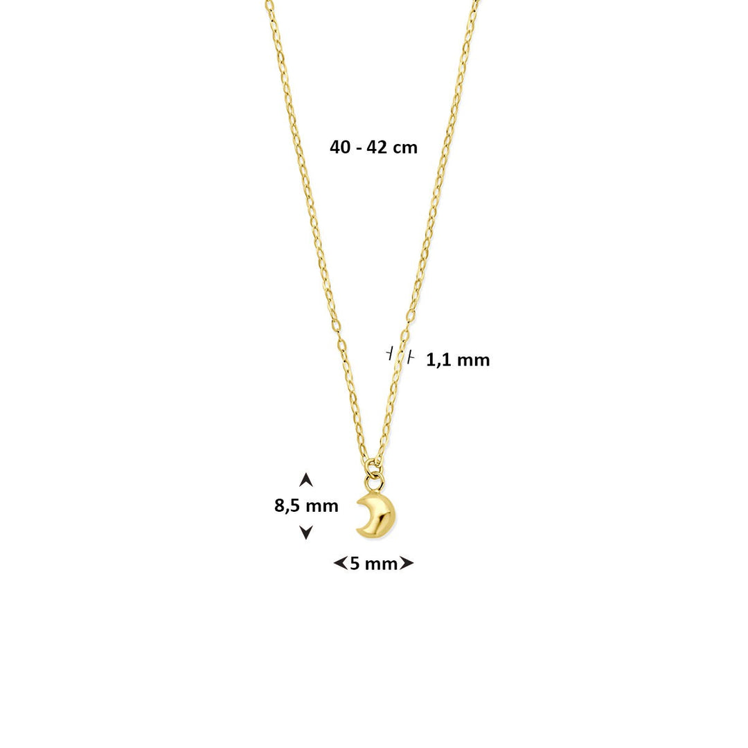 14k geelgouden ketting met maan hanger