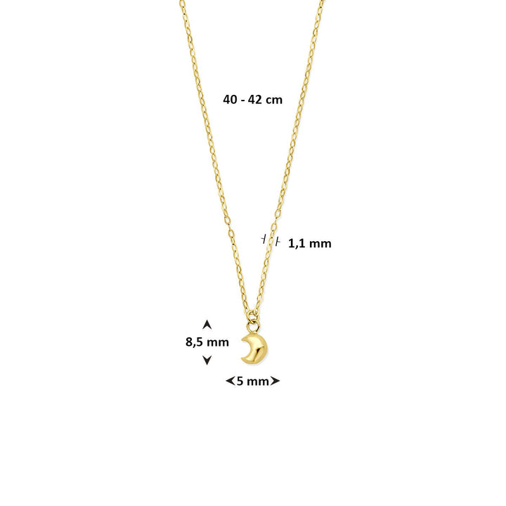14k geelgouden ketting met maan hanger