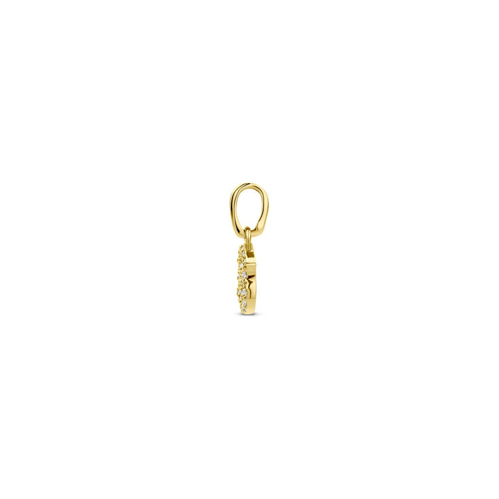 14k geelgouden sterrenbeeld hanger met diamant