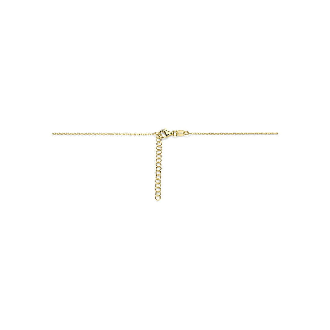 Geelverguld 925 zilveren collier met hartjes