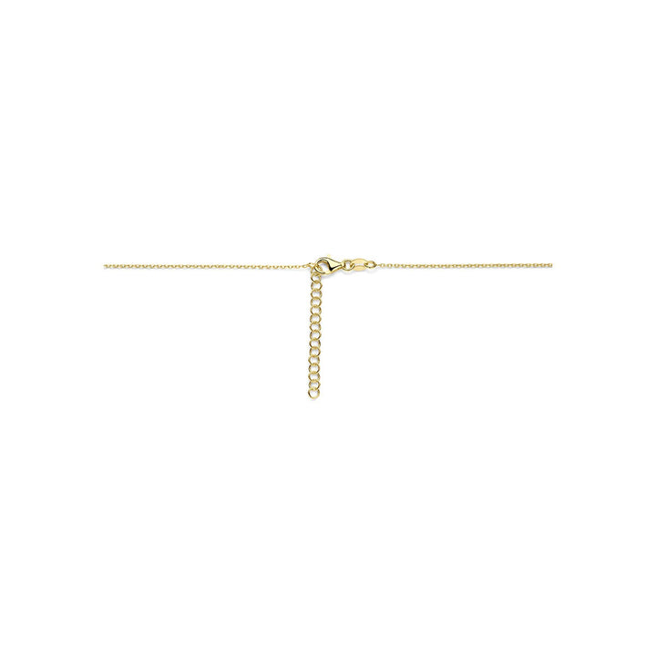 Geelverguld 925 zilveren collier met hartjes