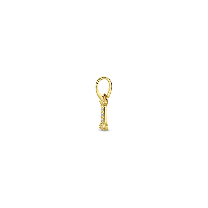 14k geelgouden sterrenbeeld hanger met diamant
