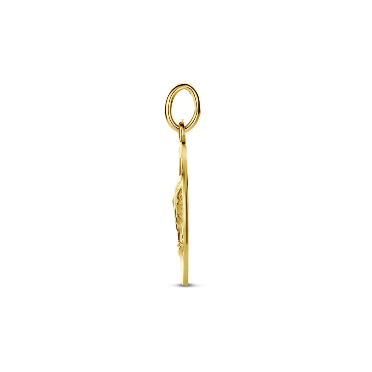 9k Geelgouden sterrenbeeld hanger