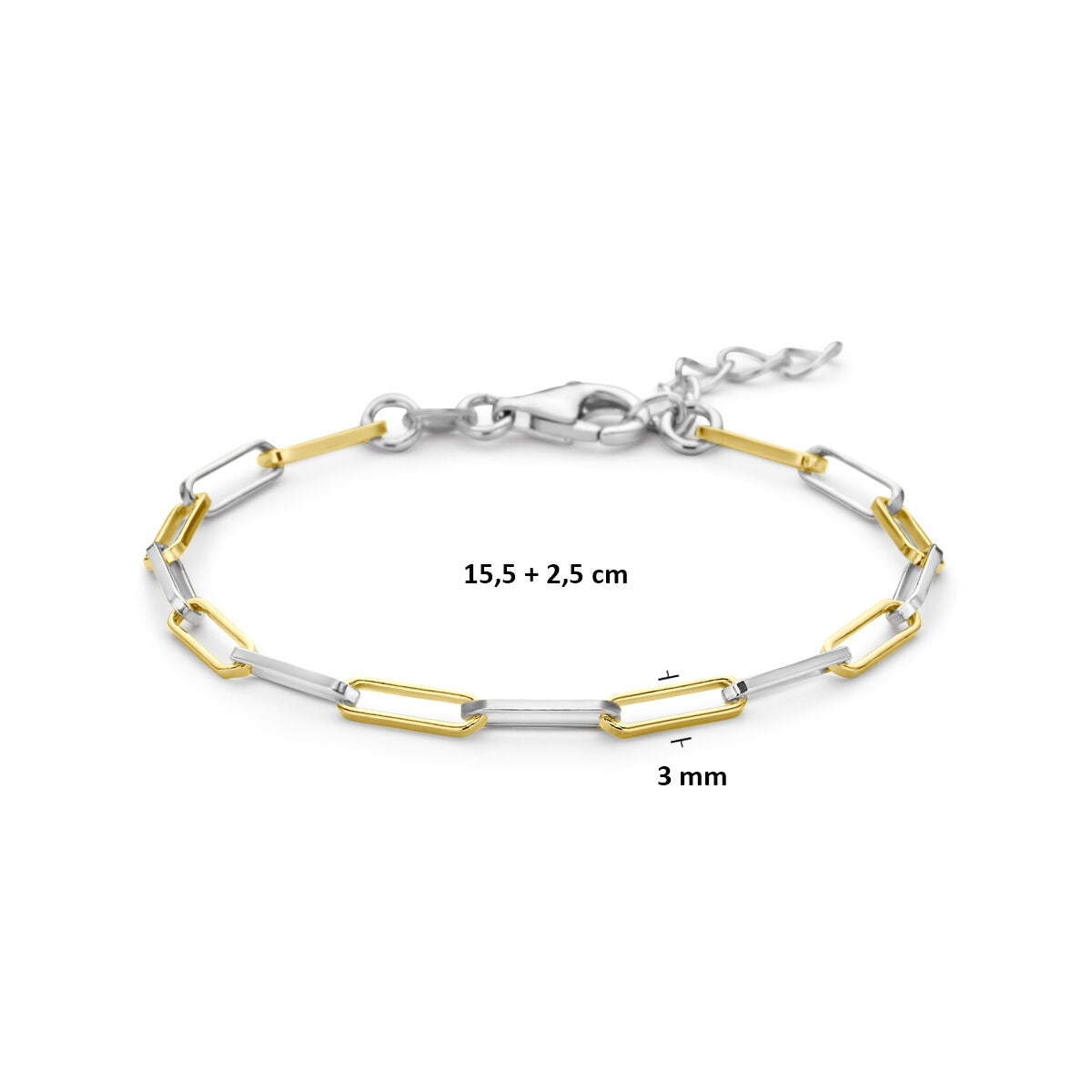 Verguld en Gerhodineerd 925 Zilveren Paperclip Armband