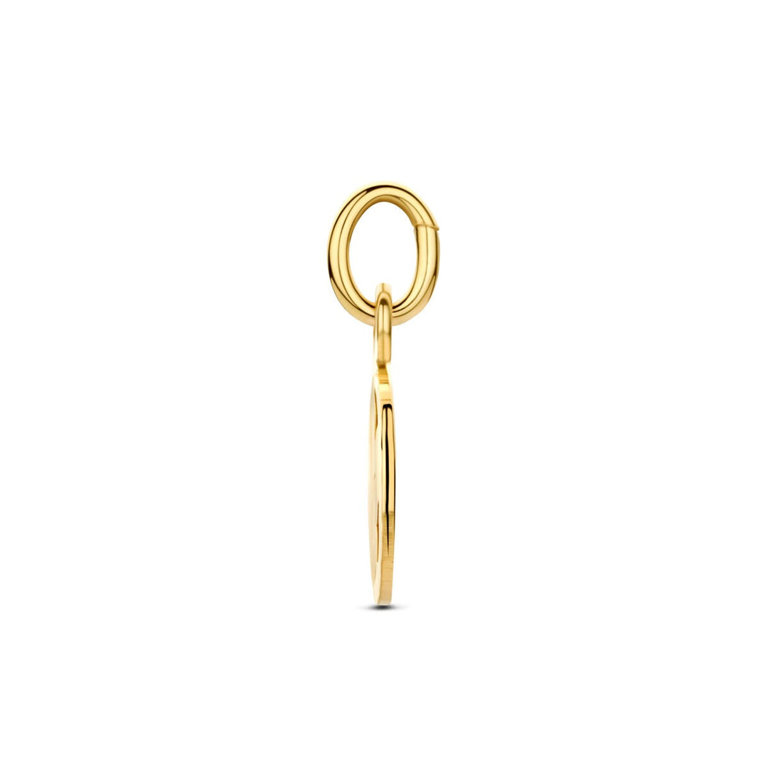 9k Geelgouden klaver hanger