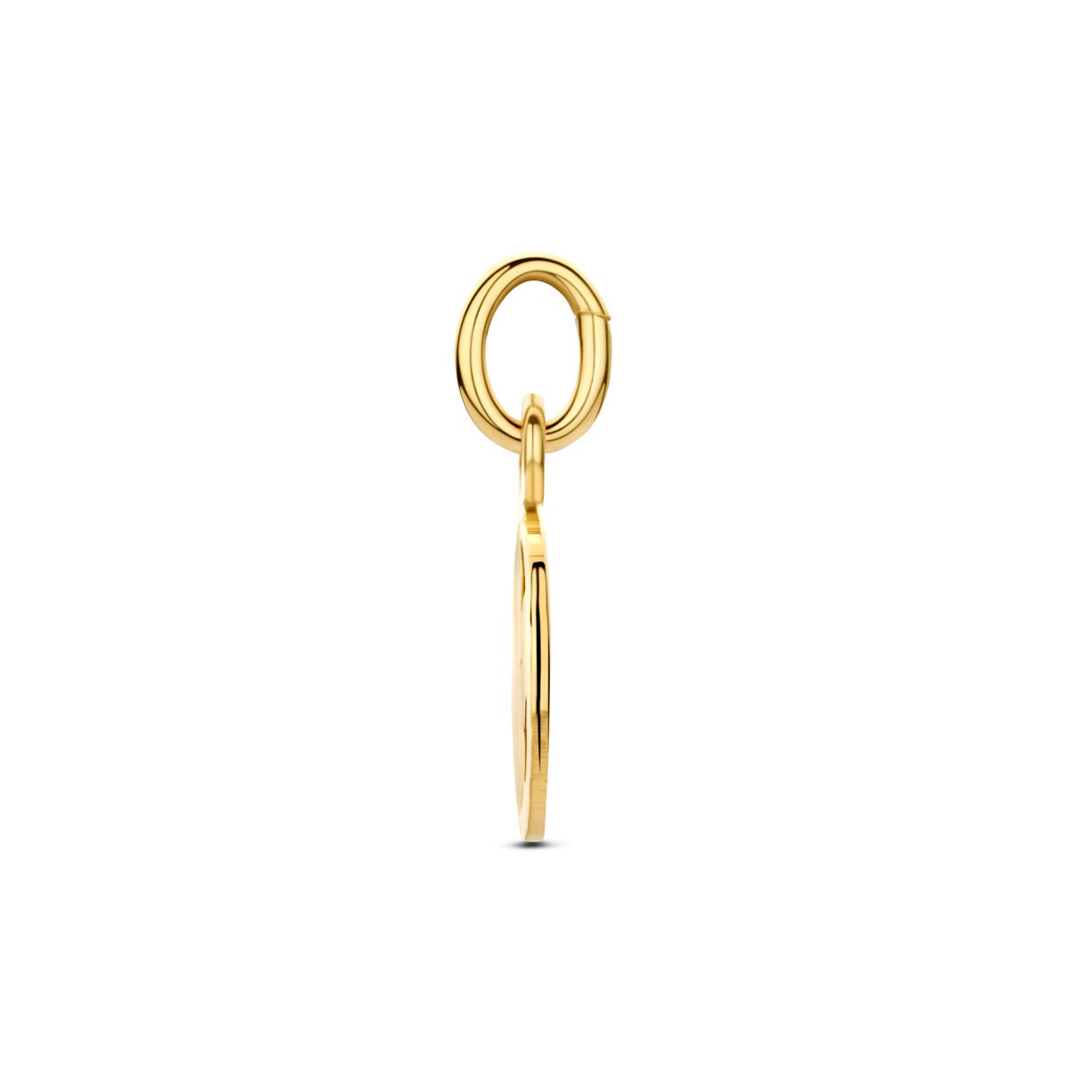 9k Geelgouden klaver hanger