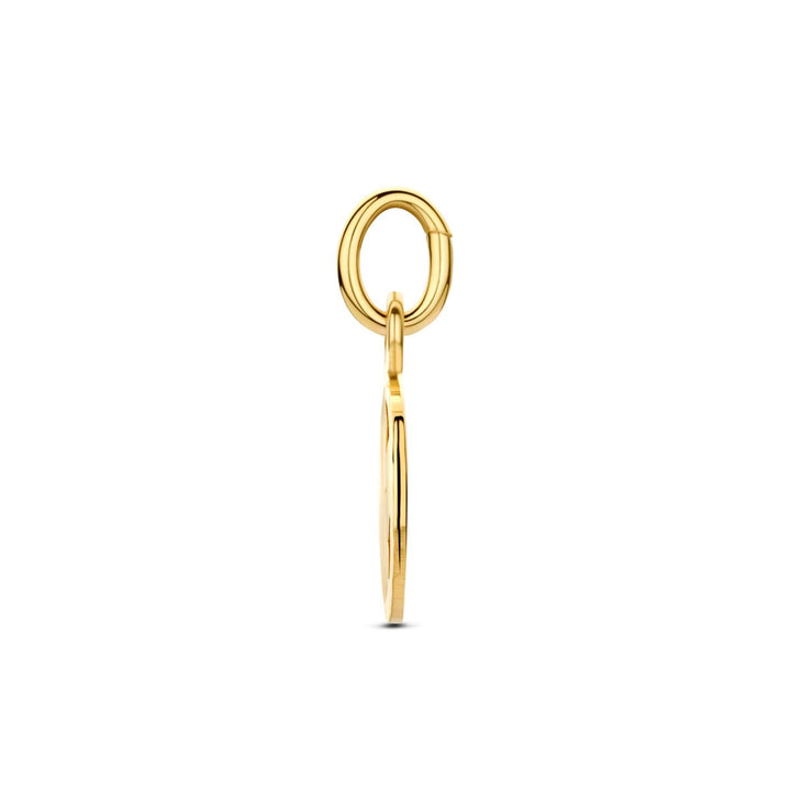 9k Geelgouden klaver hanger