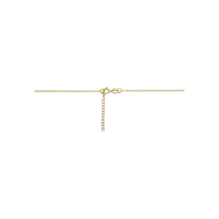 14k Geelgouden y-collier