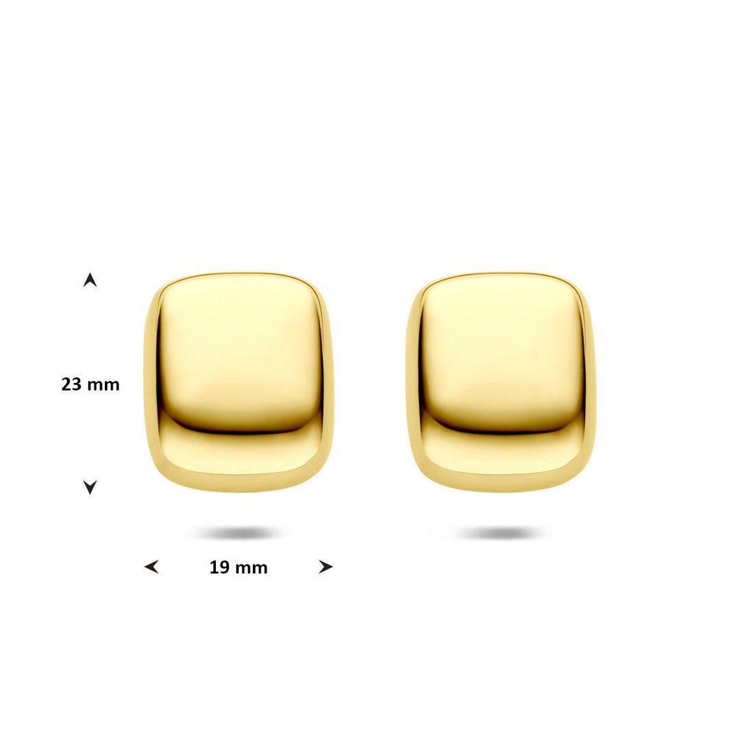 Stalen oorknoppen rechthoekig geelgoudkleurig 23x19mm
