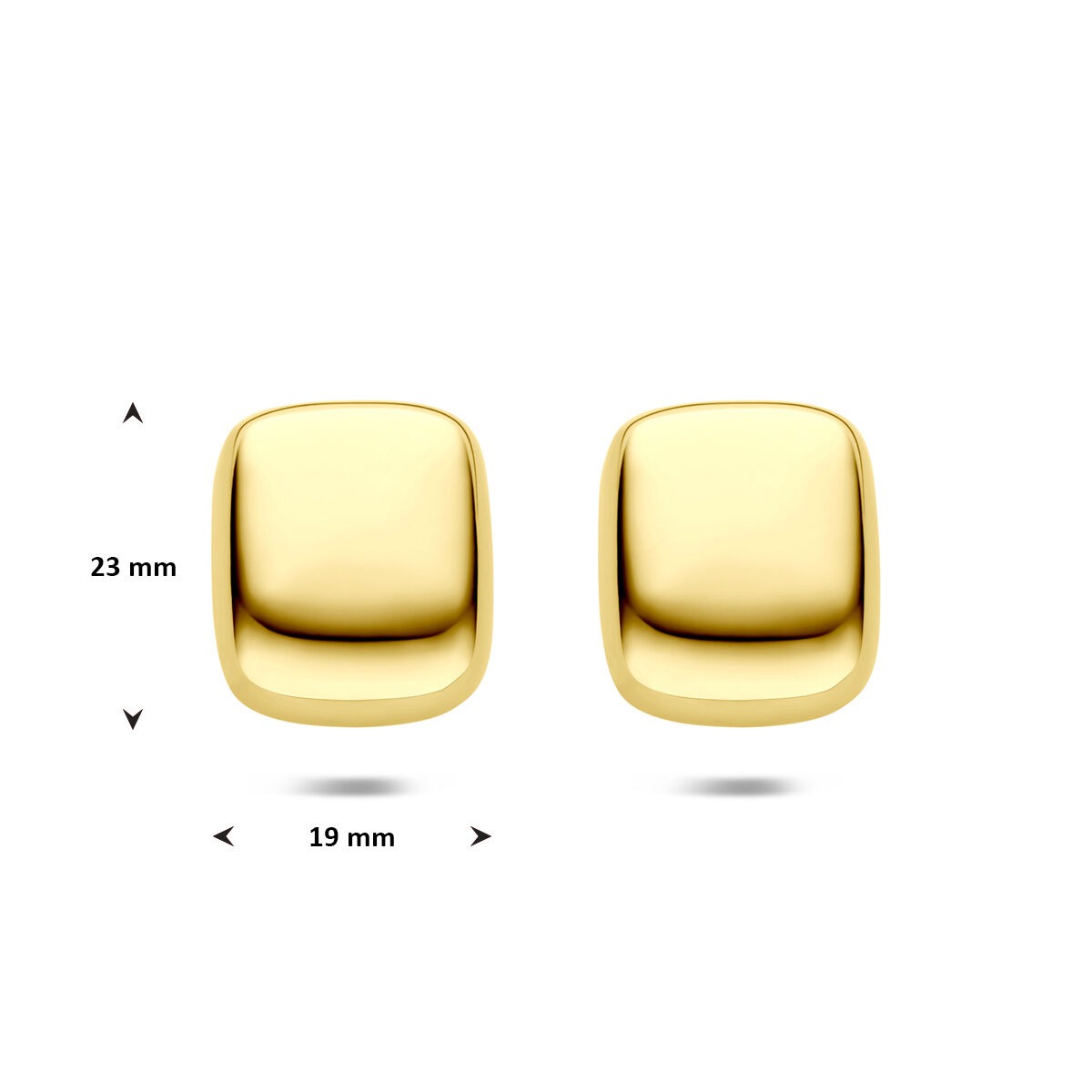 Stalen oorknoppen rechthoekig geelgoudkleurig 23x19mm