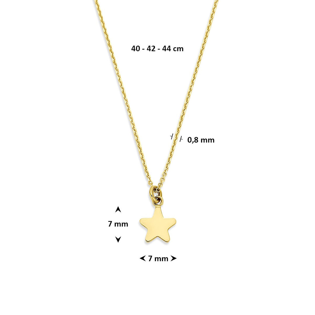 14k Geelgouden ketting met ster