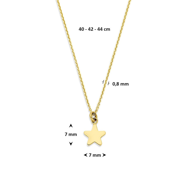 14k Geelgouden ketting met ster