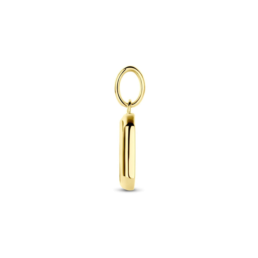 Verguld zilveren hanger met onyx – 20 mm